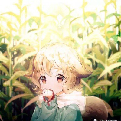 救助猫因主人猝逝躲床单